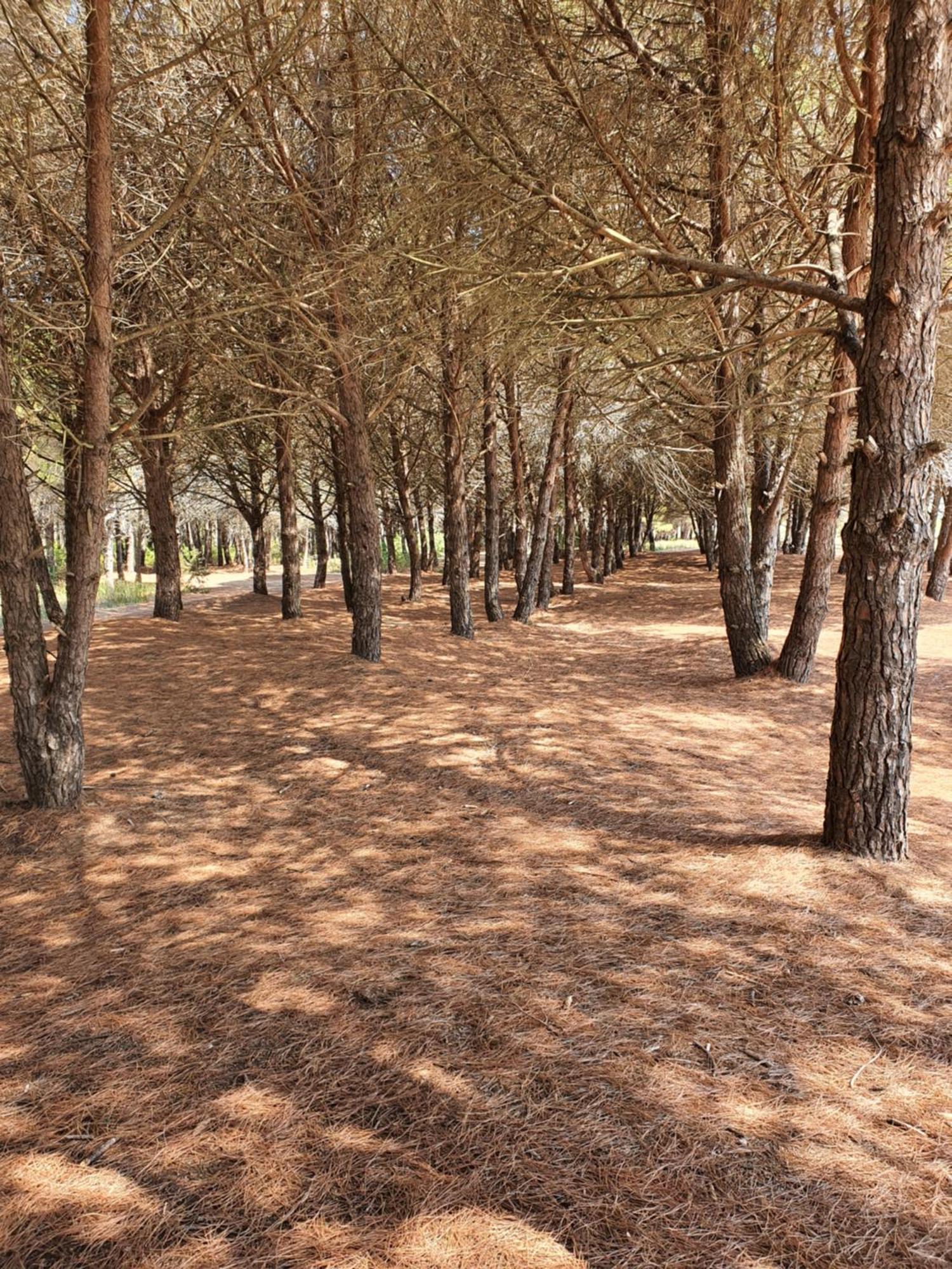 Amber Hotel Albania Spille Buitenkant foto